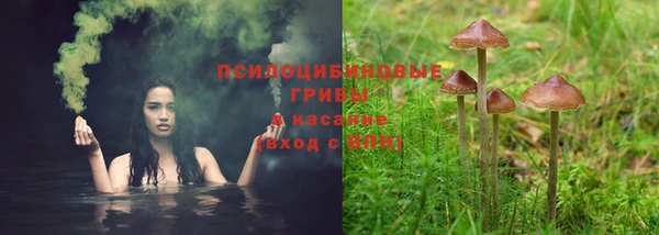 тгк Бородино