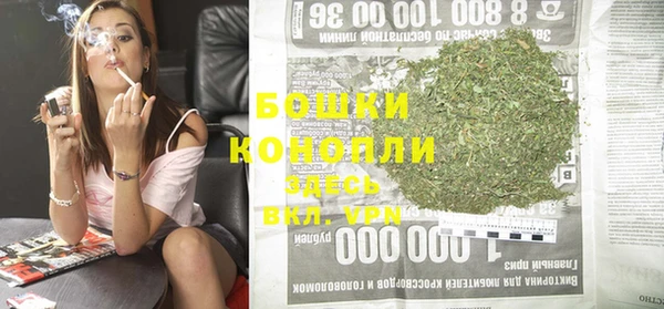 тгк Бородино