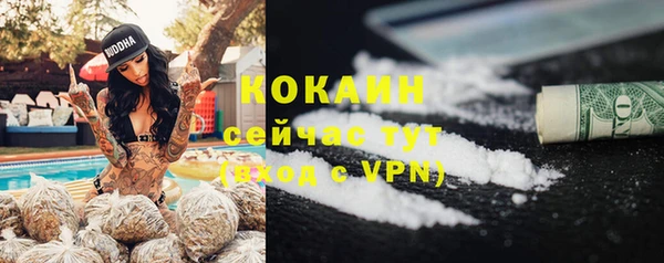 тгк Бородино