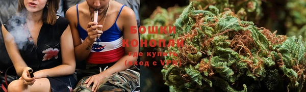 тгк Бородино