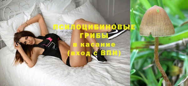 эйфоретик Чита